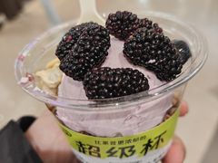 -果呀呀(国金街店)