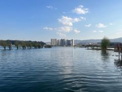 -洱海月湿地公园