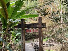 -雁南飞茶田景区