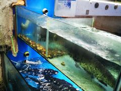 水产区-浔味·山屿湖·正宗淳牌全鱼宴老字号