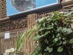 -月栖华明-云间草堂清茶馆(泗泾古镇店)