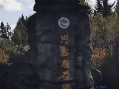 -汤旺河林海奇石景区