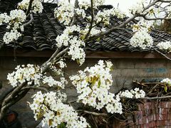 -金堂县云顶石城风景区