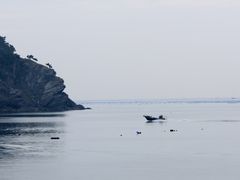 -大长山岛