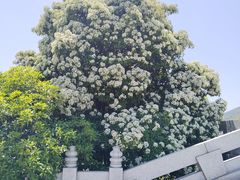 -敬亭山风景名胜区-弘愿寺