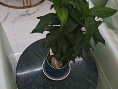 -美可普口腔医院(东街分店)