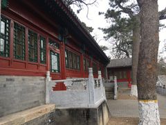 -北京鹫峰国家森林公园