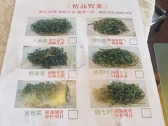 -一煲鸽