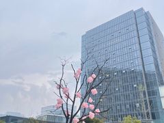 -新天地活力PARK