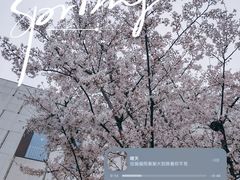 -肯德基(镇湖店)