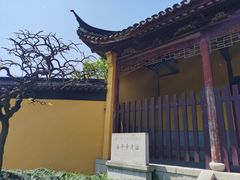 -苏州上方山国家森林公园
