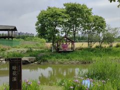 -长田漾湿地公园