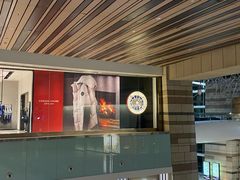 -Canada Goose加拿大鹅(沈阳万象城店)