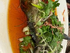 -金燕岛潮州酒楼