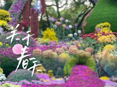 -杭州植物园