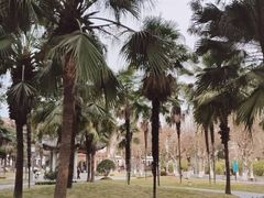 -四川大学(望江校区)