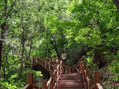 -大岭沟猕猴桃谷风景区