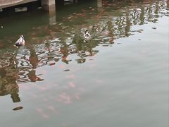 -太原动物园