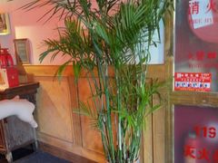 -小吊梨汤·北京菜·烤鸭(双井乐成中心店)