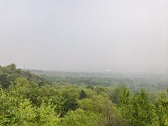 -北京鹫峰国家森林公园