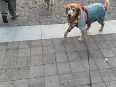 -东钱湖旅游度假区