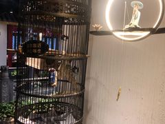 -清真·京华源铜锅涮肉(丰庆店)