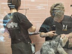 -FAELING PETS美天灵宠物(合生汇店)