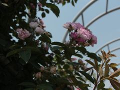 -尚贤河湿地