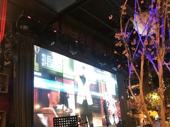 -胡桃里音乐酒馆(石家庄店)