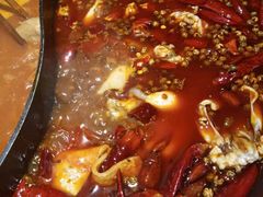 -销魂美蛙鱼头火锅(上海首店)