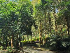 -福清灵石山国家森林公园