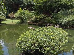 -九龙公园