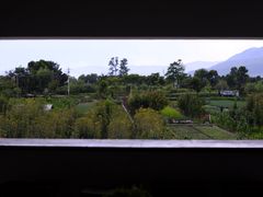 -翠田Green Field Kitchen