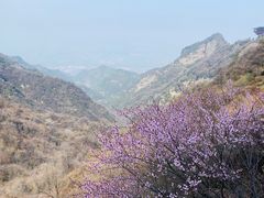 -少华山国家森林公园