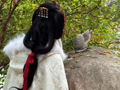 -莲湖公园
