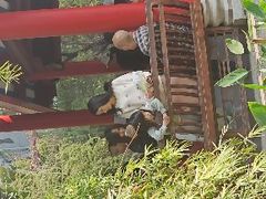 -国恩寺