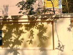 -八大关景区