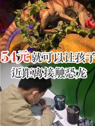 -恐龙探索乐园(磁器口店)