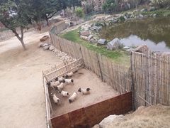 -泉州海丝野生动物世界