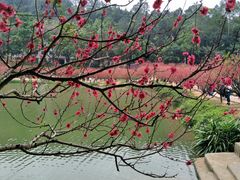 -南国桃园旅游度假区