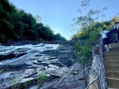 -广州白江湖森林公园