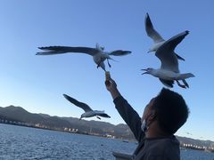 -滇池海埂公园