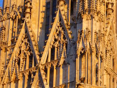 -斯蒂芬主教座堂(Stephansdom)