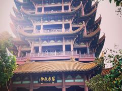 -黄鹤楼公园(黄鹤楼)