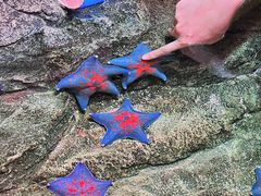 -沈阳海洋探索中心