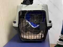 -中农大我爱我爱24h动物医院·中医针灸·猫专科·骨科医疗中心(双井店)