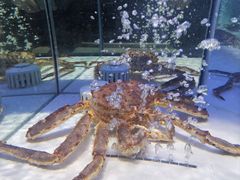 -永辉超市(鲁谷店)