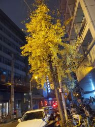 -成都儿童专科医院(总院)