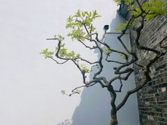 -个园