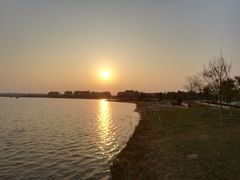 -武清南湖绿博园